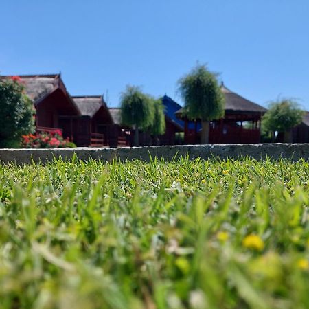 Pensiunea La Tavi Murighiol Exterior foto