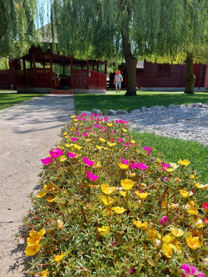 Pensiunea La Tavi Murighiol Exterior foto