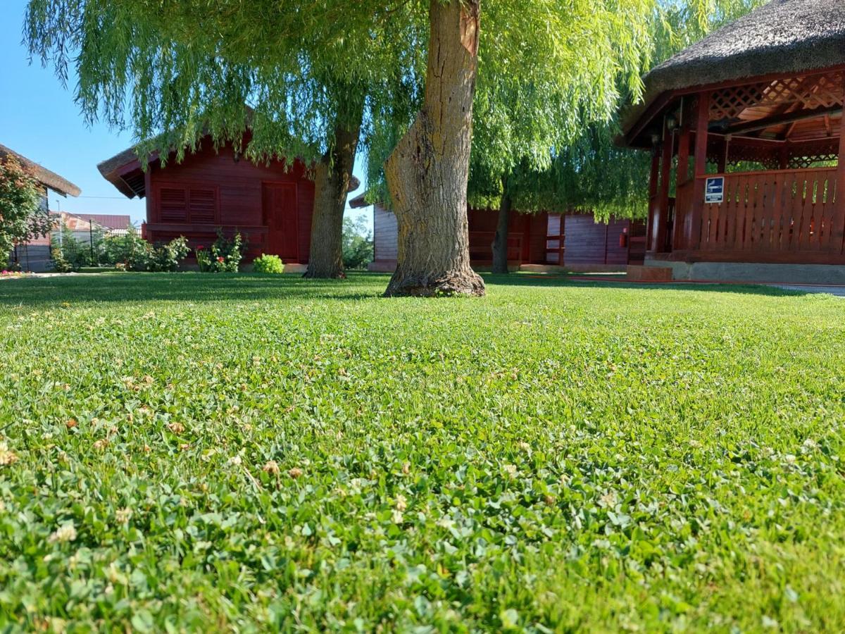 Pensiunea La Tavi Murighiol Exterior foto