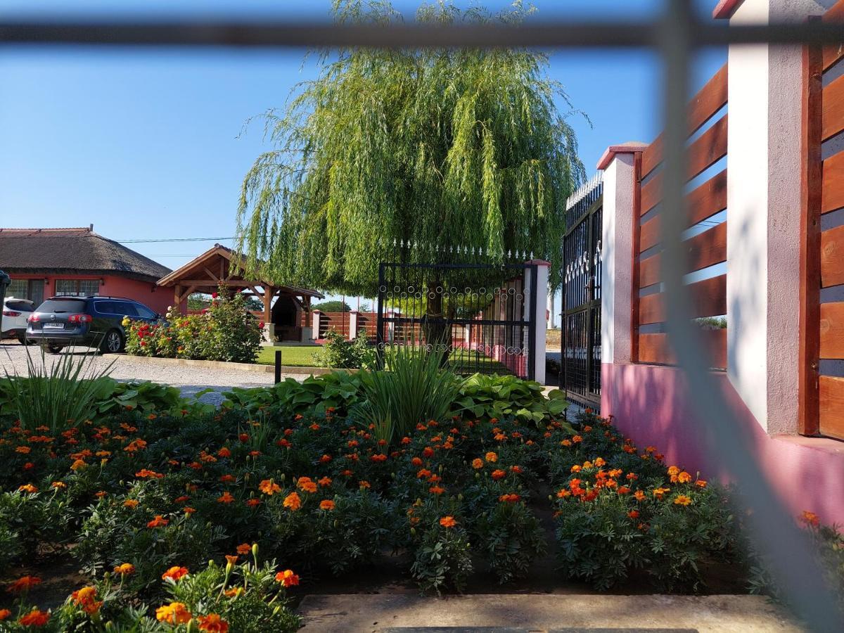 Pensiunea La Tavi Murighiol Exterior foto